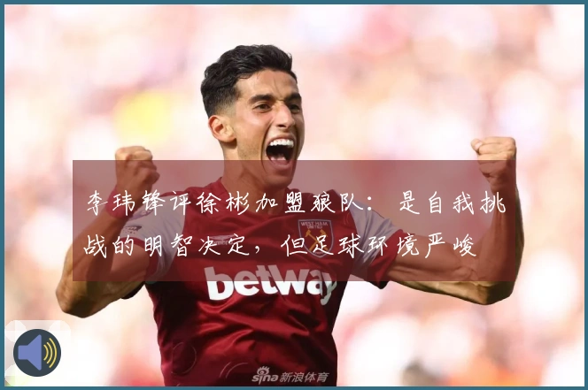 李玮锋评徐彬加盟狼队：是自我挑战的明智决定，但足球环境严峻