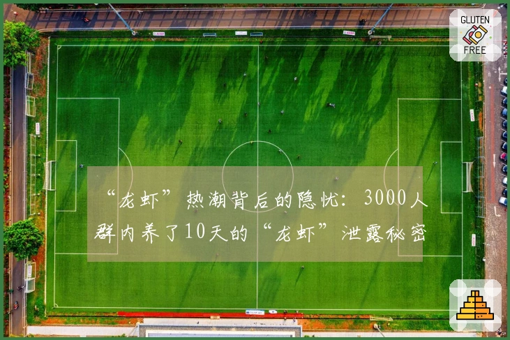 “龙虾”热潮背后的隐忧：3000人群内养了10天的“龙虾”泄露秘密